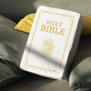 Mark 16 White Bible Memory Foam Pillow